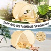 image:imageTiny Land Baby Beach Tent  Pop Up Tent with UV Protection Portable Baby Beach Essentials 354x276x315 Sun Shelter for Infants Baby Summer Outdoor Use Light Blue GinghamPastel Yellow Stripes