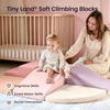 image:imageTiny Land Soft Foam Climbing Blocks for Toddlers 6Piece Baby Foam Climbing Blocks Indoor Playground Climbing Toys Ideal Gift for Kids Activity Crawling and Sliding Foam Play Set Pink PastelPink Pastel