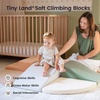 image:imageTiny Land Soft Foam Climbing Blocks for Toddlers 6Piece Baby Foam Climbing Blocks Indoor Playground Climbing Toys Ideal Gift for Kids Activity Crawling and Sliding Foam Play Set Pink PastelVintage